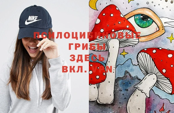 хмурый Балахна