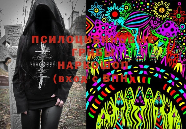хмурый Балахна