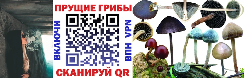 Галлюциногенные грибы мицелий  Лебедянь 